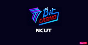 7Bit casino uy tín