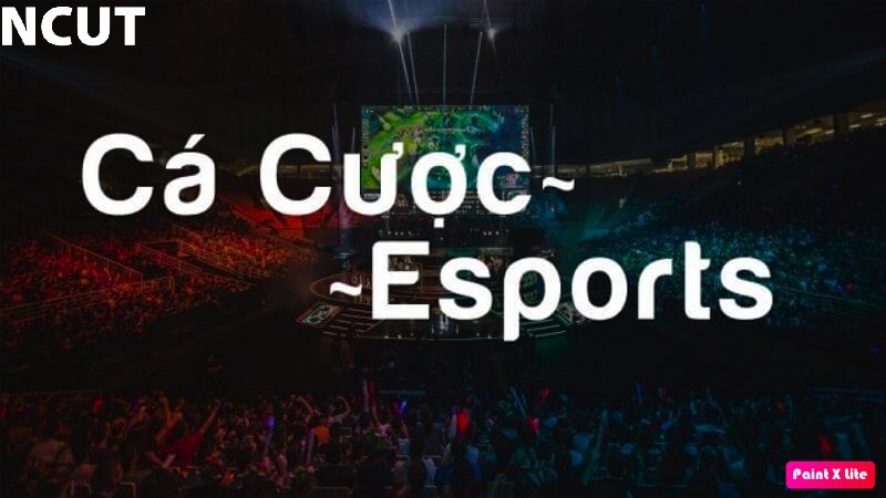 Chiến lược cá cược Esport