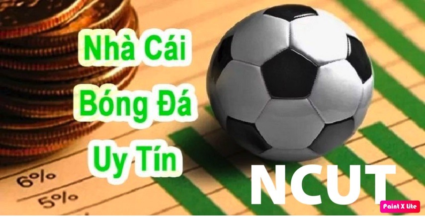 Cung cấp tổng hợp thông tin nhà cái