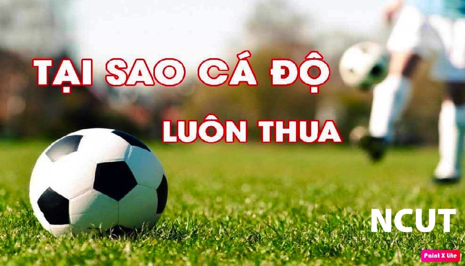 Lý do cá cược thua